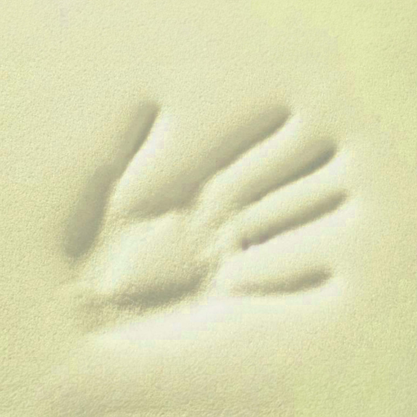 10000342-0_4.jpg