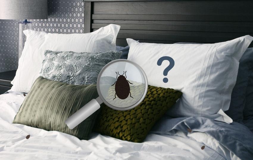 Milbenschutz im Bett
