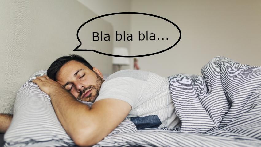 Somniloquie: das Reden im Schlaf