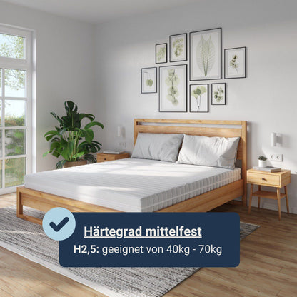 Betten-ABC Dream Spezial – Sondermaß-Kaltschaum- matratze mit 7 Zonen, Härtegrad 2,5, Höhe ca.13 cm