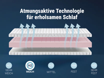 Betten-ABC KSP-1000 – 9-Zonen-Kaltschaummatratze – Das Original, 16 cm Höhe