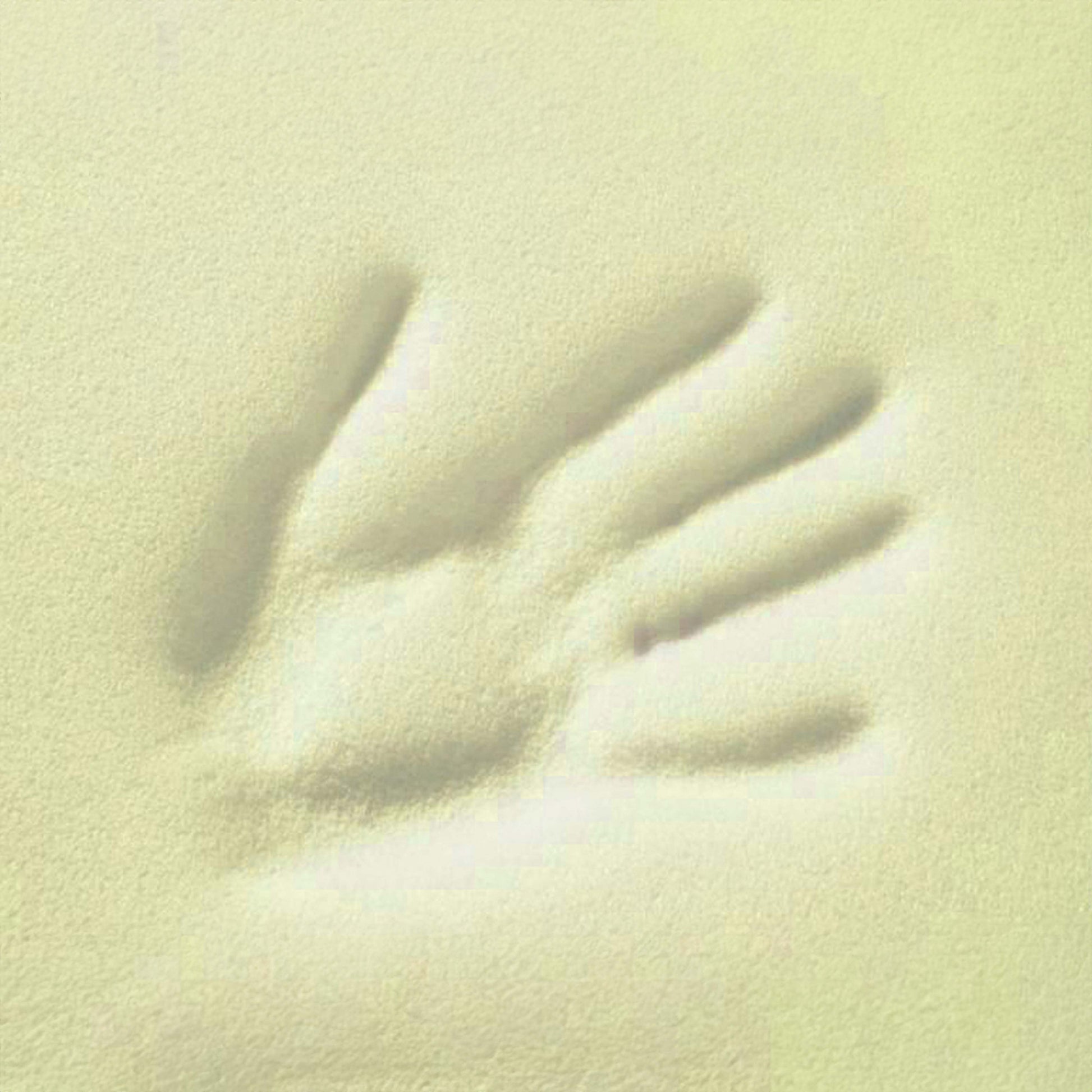 10000342-0_4.jpg
