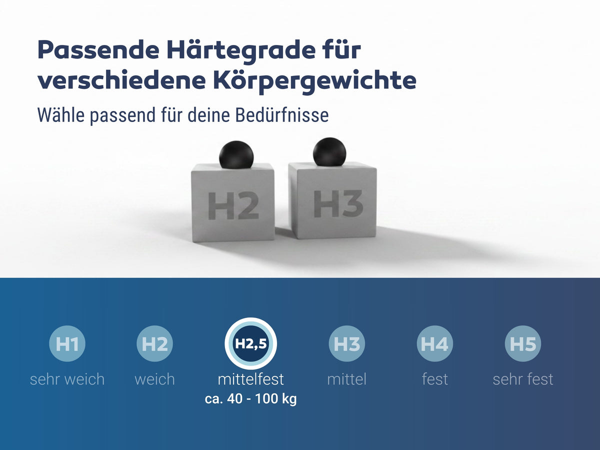 Betten-ABC Dream Spezial Sondermaß Kaltschaummatratze