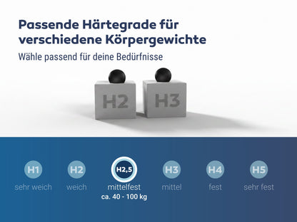 Betten-ABC Dream Spezial Sondermaß Kaltschaummatratze