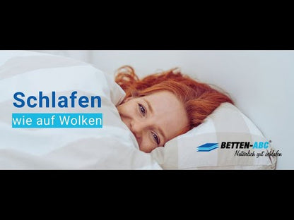 Betten-ABC Mammut Kaltschaummatratze
