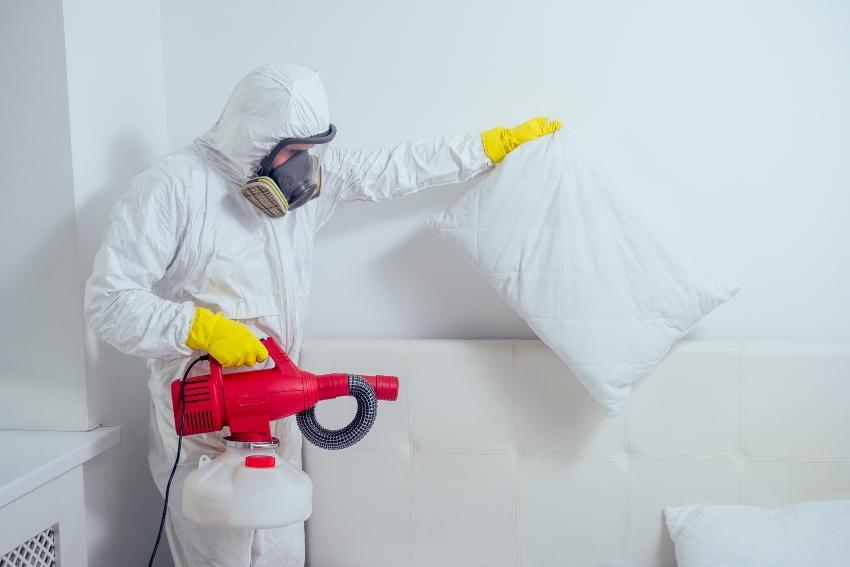 Schädlingsbekämpfer versprüht Chemikalie im Schlafzimmer - Bettwanzen bekämpfen