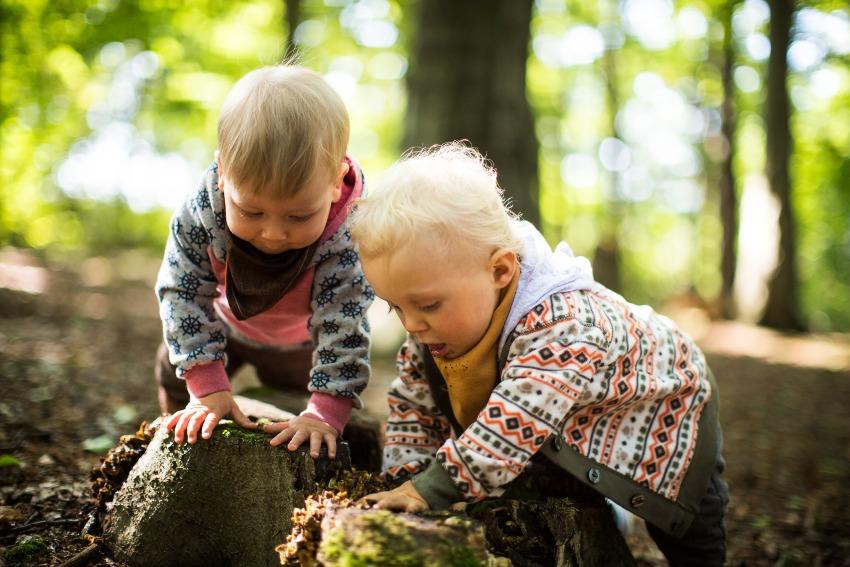 Kleinkinder spielen im Wald